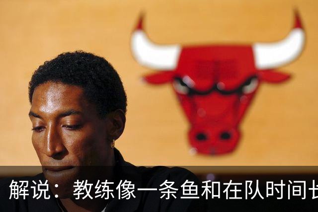 解说：教练像一条鱼&在队时间长了就会发臭 杜锋话语出现效应递减